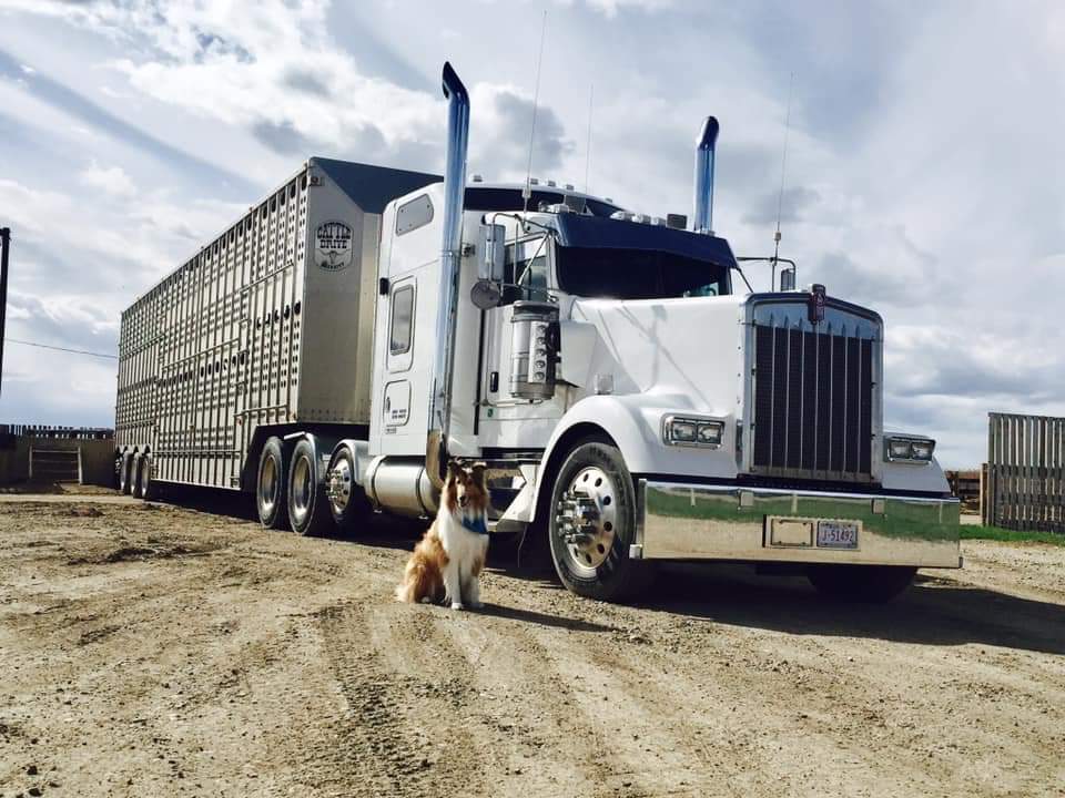 You’re just a truck driver….